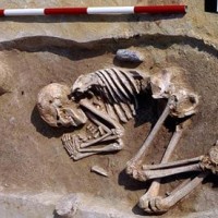 A male Neolithic skeleton from Kleinhadersdorf, Austria, with an adze at his back. Individuals buried with the tool seem to have had better nutrition in childhood. Photograph: Neugebauer/BDA